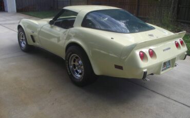 Chevrolet-corvette-1978-19