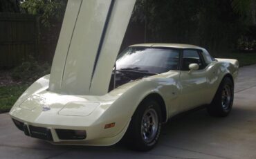 Chevrolet-corvette-1978-6