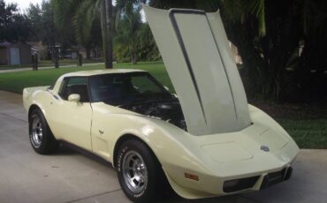 Chevrolet-corvette-1978-7