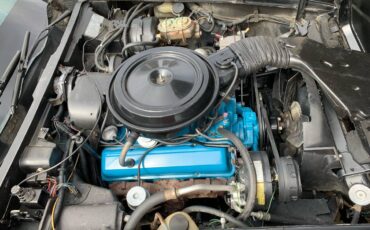 Chevrolet-corvette-1978-black-11