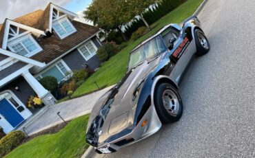 Chevrolet-corvette-1978-black-3
