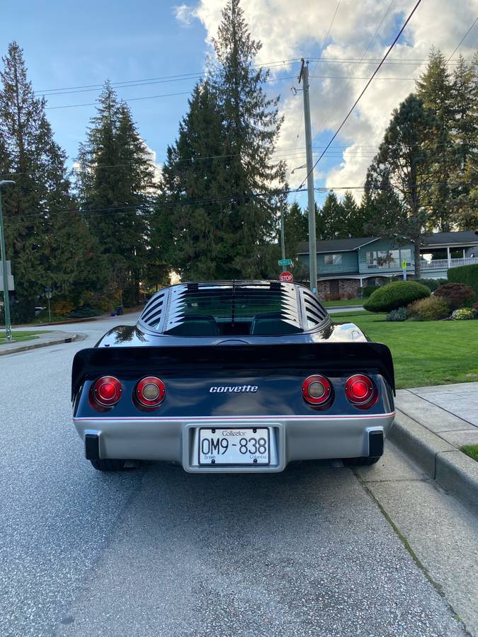 Chevrolet-corvette-1978-black-5