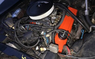 Chevrolet-corvette-1981-black-10