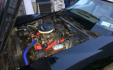 Chevrolet-corvette-1981-black-12