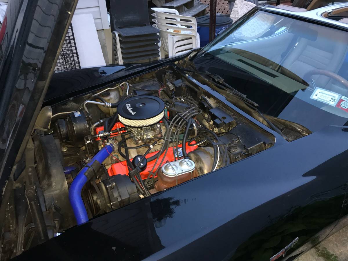 Chevrolet-corvette-1981-black-12