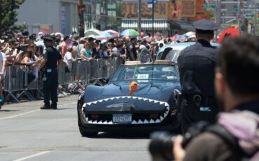 Chevrolet-corvette-1981-black-16