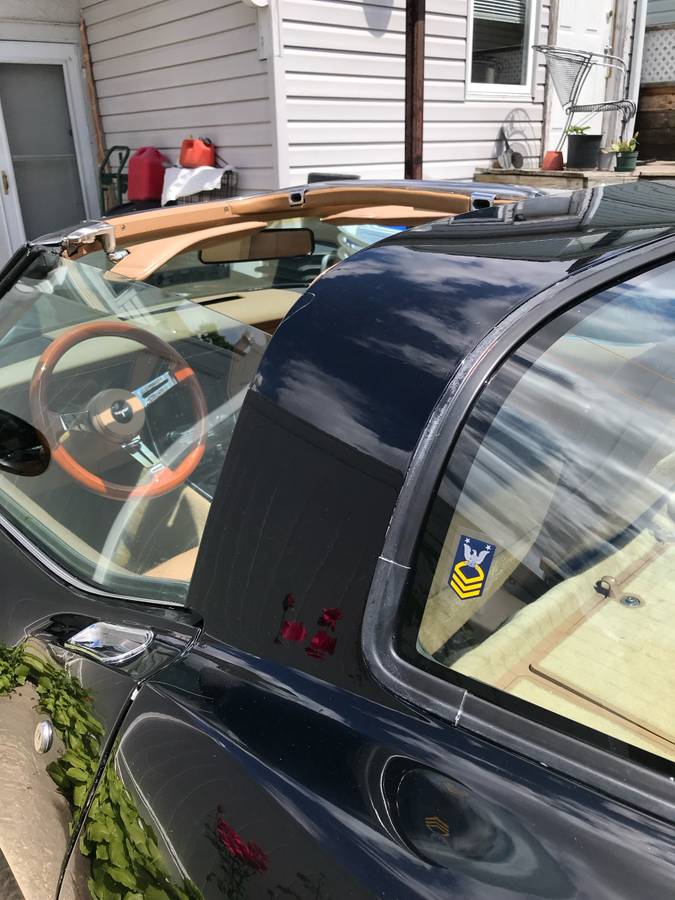 Chevrolet-corvette-1981-black-5