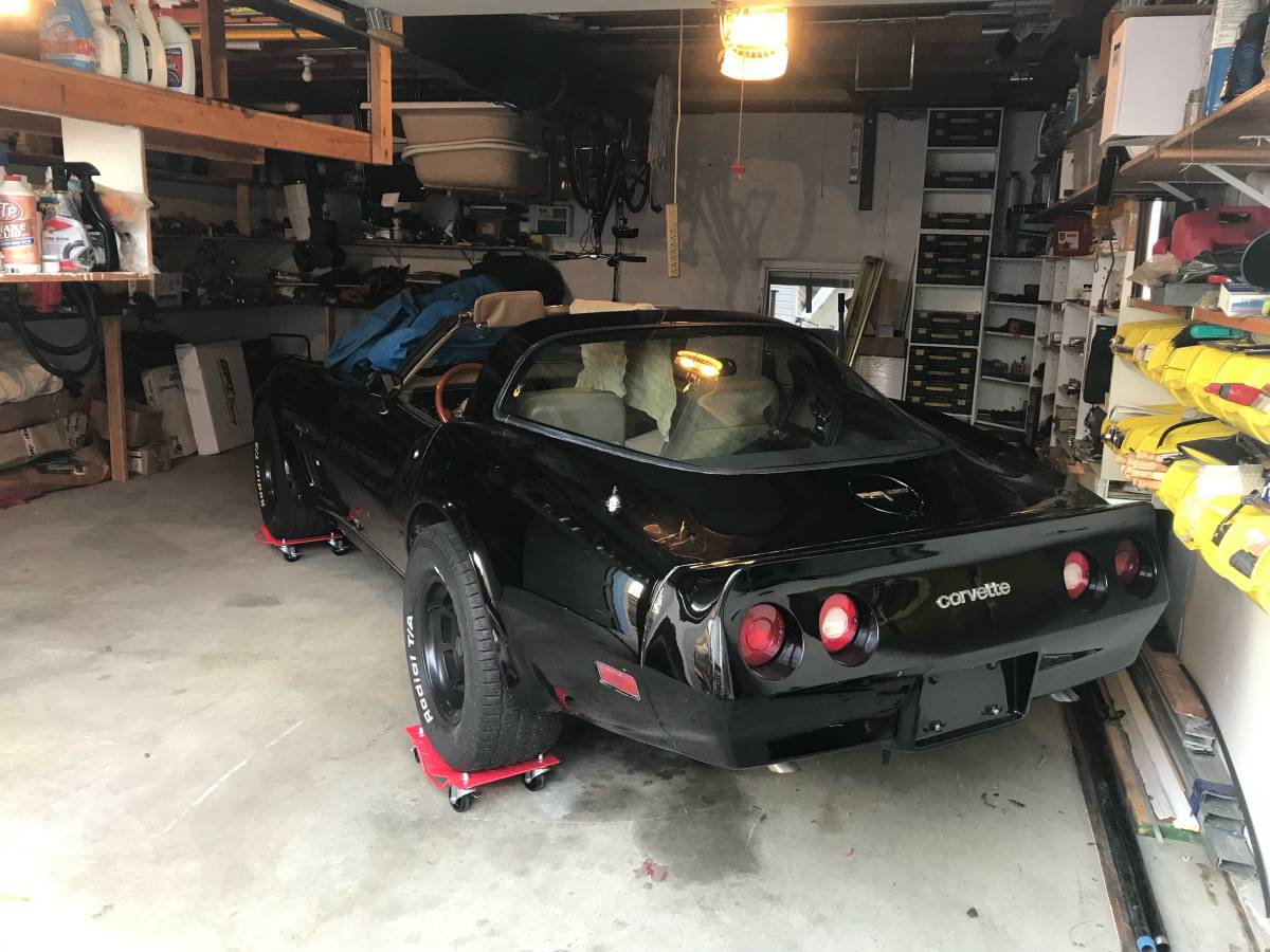 Chevrolet-corvette-1981-black-6