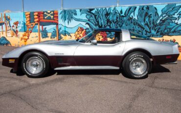 Chevrolet-corvette-1982-silver-12
