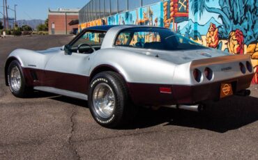 Chevrolet-corvette-1982-silver-13