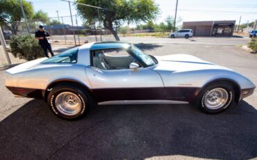 Chevrolet-corvette-1982-silver-15