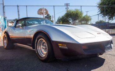Chevrolet-corvette-1982-silver-18