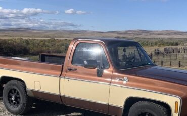Chevrolet-scottsdale-1980-brown-3