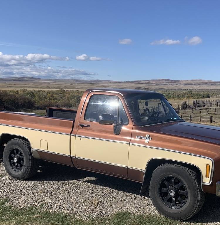 Chevrolet-scottsdale-1980-brown-3