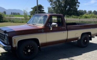 Chevrolet-scottsdale-1980-brown