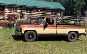 Chevrolet-scottsdale-1980-brown-4
