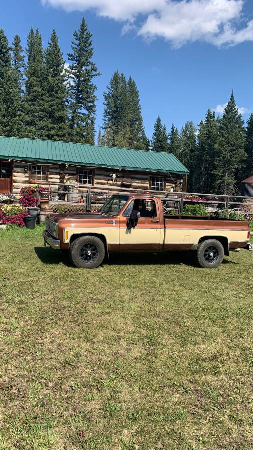 Chevrolet-scottsdale-1980-brown-4
