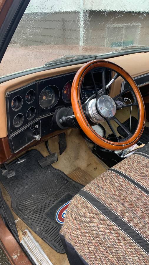 Chevrolet-scottsdale-1980-brown-5