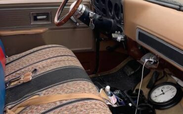 Chevrolet-scottsdale-1980-brown-6