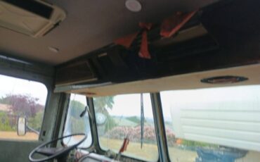 Chevy-3100-truck-1973-blue-43