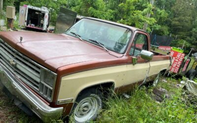 Chevy c10 truck 1982