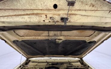 Chrysler-300-1966-Daffodil-Yellow-Black-38