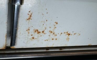 Chrysler-Imperial-1965-Persian-White-Black-23