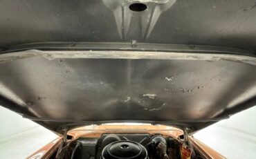 Chrysler-New-yorker-1955-Canyon-Tan-Coral-21