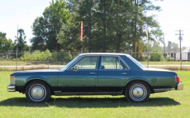 Chrysler-lebaron-1979-green-19