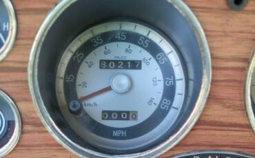 Chrysler-lebaron-1979-green-20