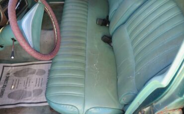 Chrysler-lebaron-1979-green-21