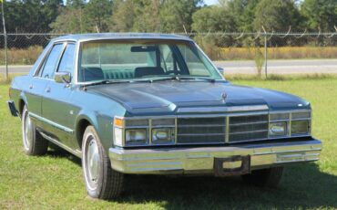Chrysler-lebaron-1979-green-7