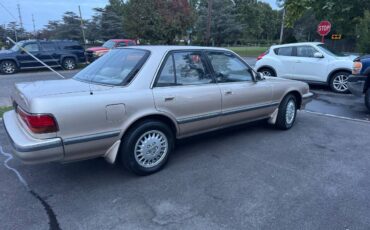 Cresida-1992-brown-1