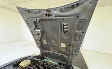 Datsun-Other-1983-Fox-Silver-Metallic-Gray-34