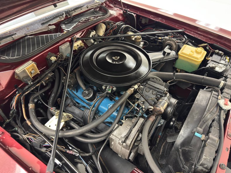 Dodge-Charger-1975-Vintage-Red-Metallic-Red-12