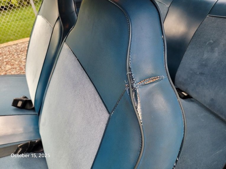 Dodge-Dart-1974-Blue-White-Blue-14