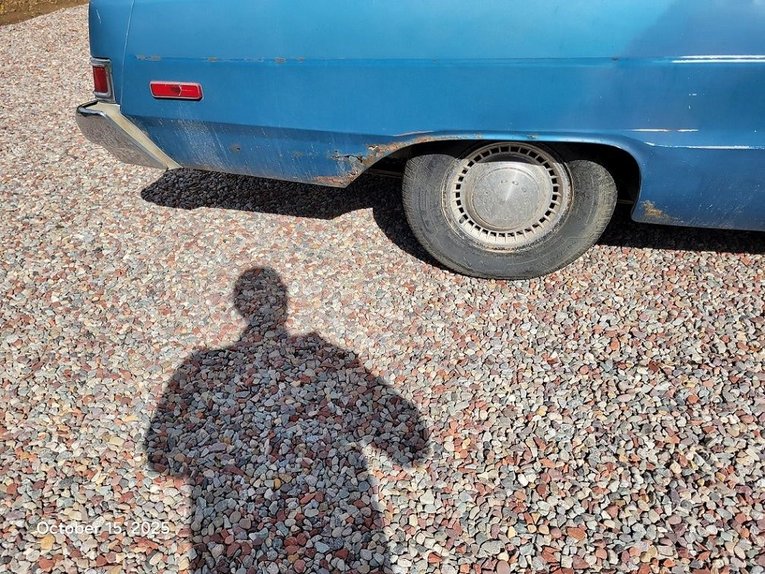 Dodge-Dart-1974-Blue-White-Blue-6