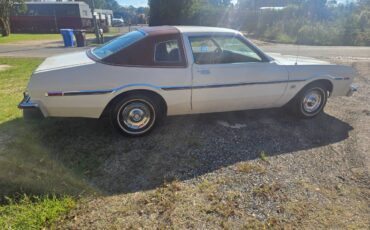 Dodge-aspen-1977-white-17