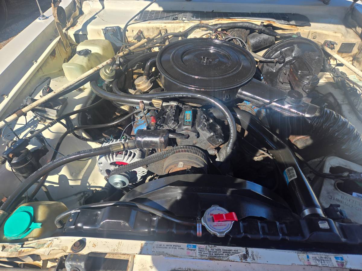 Dodge-aspen-1977-white-21