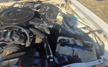 Dodge-aspen-1977-white-22