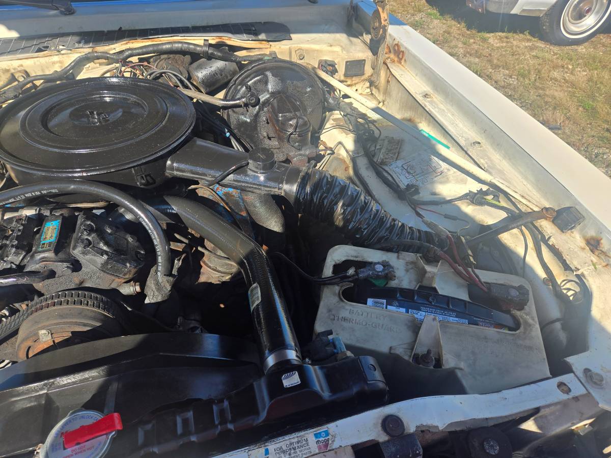 Dodge-aspen-1977-white-22