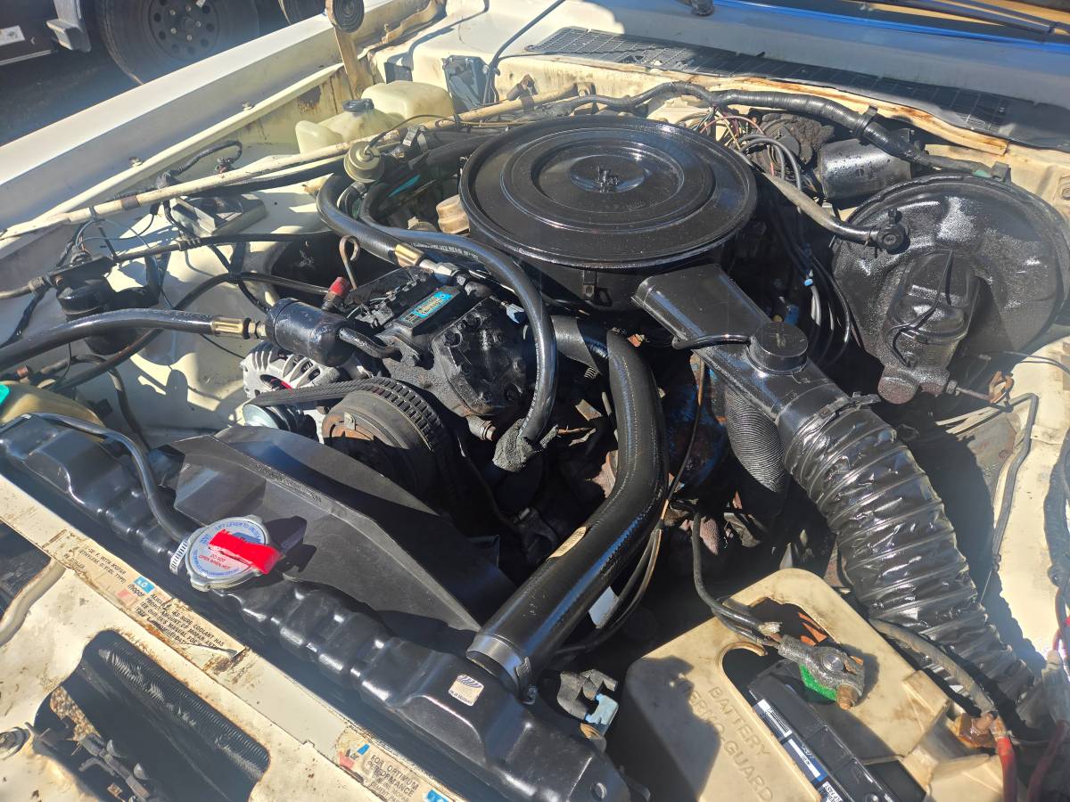 Dodge-aspen-1977-white-7