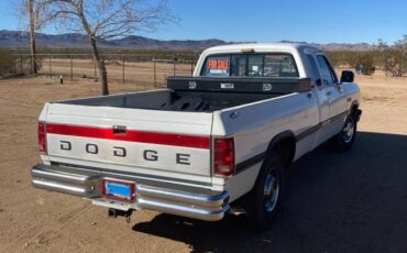 Dodge-d250-diesel-1993-white-17