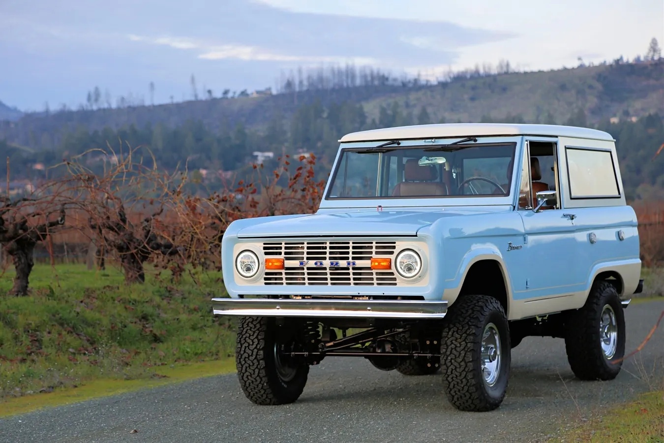 Ford-Bronco-1966-Baby-Blue-Brown-1