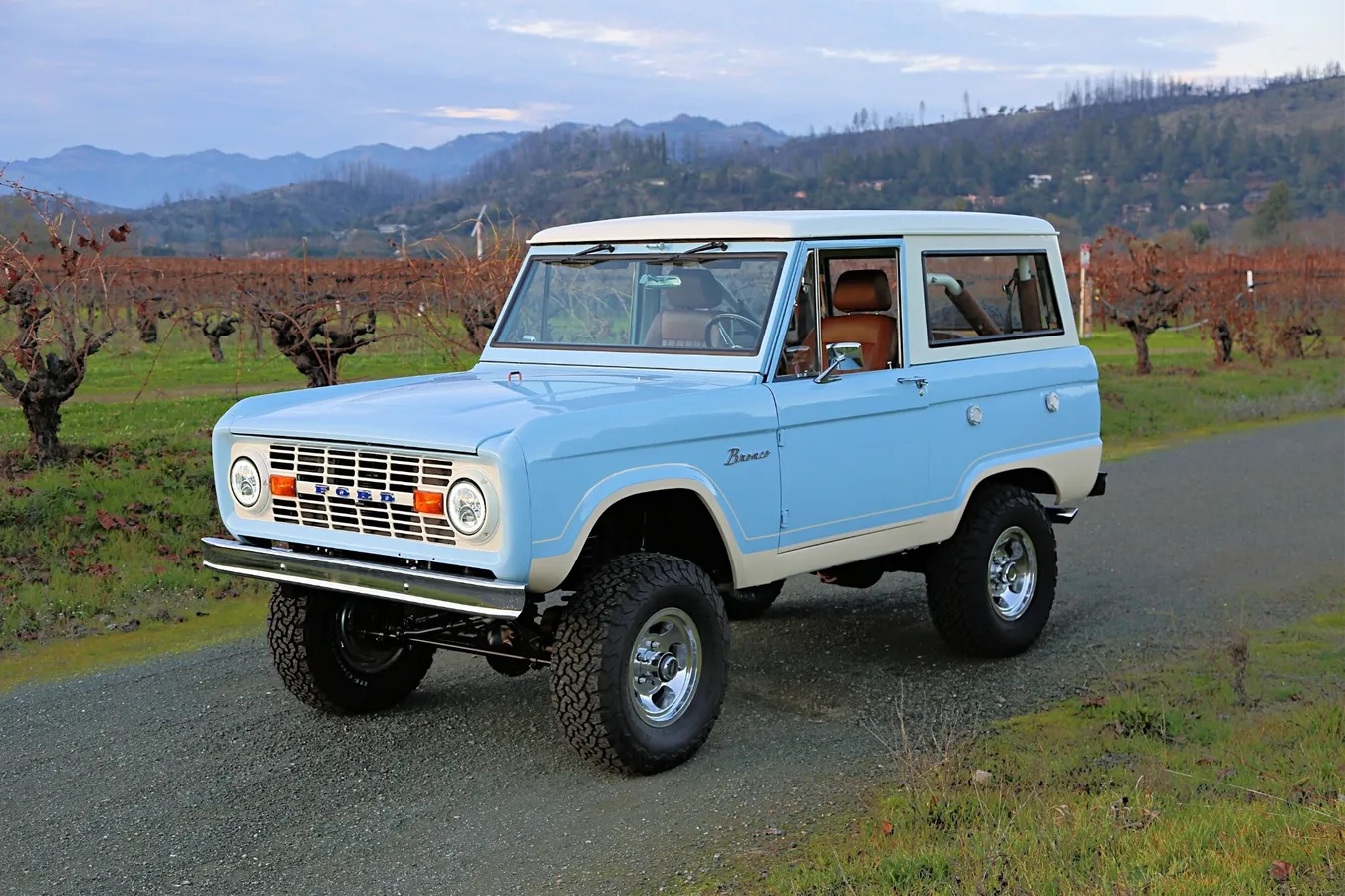 Ford-Bronco-1966-Baby-Blue-Brown-16
