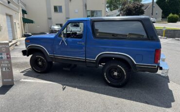 Ford-Bronco-1983-Blue-Black