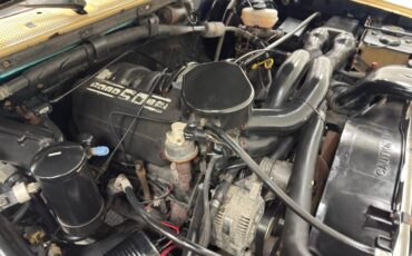 Ford-Bronco-1992-Tan-Black-34