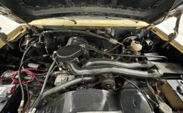 Ford-Bronco-1992-Tan-Black-35