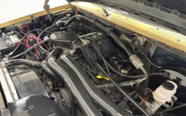 Ford-Bronco-1992-Tan-Black-36