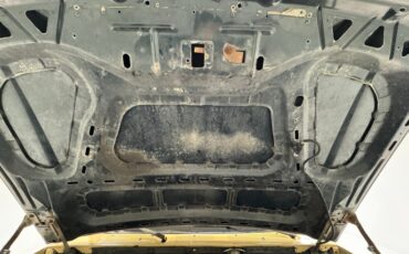 Ford-Bronco-1992-Tan-Black-7